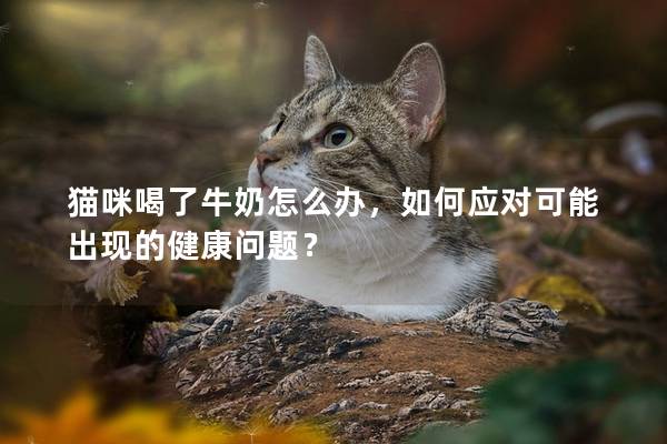 猫咪喝了牛奶怎么办，如何应对可能出现的健康问题？