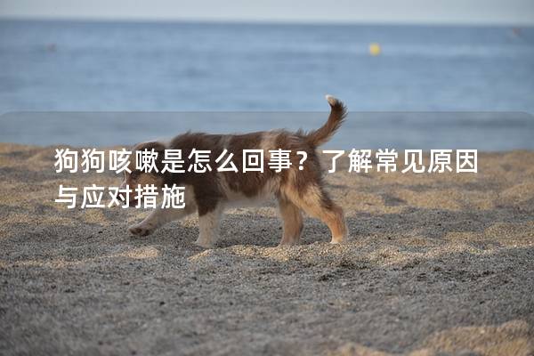 狗狗咳嗽是怎么回事？了解常见原因与应对措施