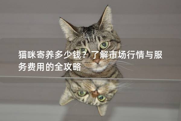 猫咪寄养多少钱？了解市场行情与服务费用的全攻略