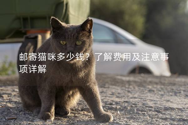 邮寄猫咪多少钱？了解费用及注意事项详解