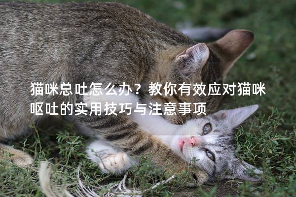 猫咪总吐怎么办？教你有效应对猫咪呕吐的实用技巧与注意事项