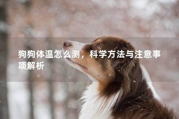 狗狗体温怎么测，科学方法与注意事项解析