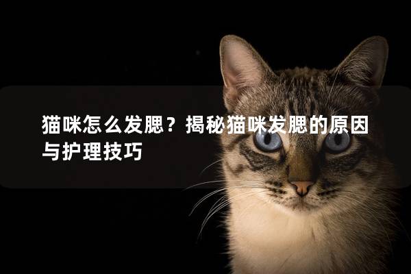 猫咪怎么发腮？揭秘猫咪发腮的原因与护理技巧