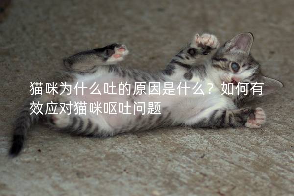 猫咪为什么吐的原因是什么？如何有效应对猫咪呕吐问题