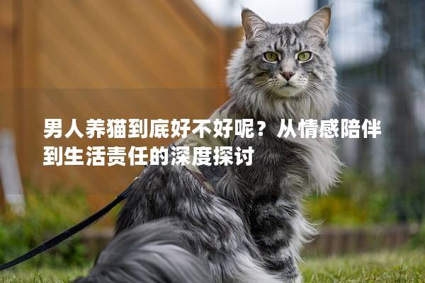 男人养猫到底好不好呢？从情感陪伴到生活责任的深度探讨