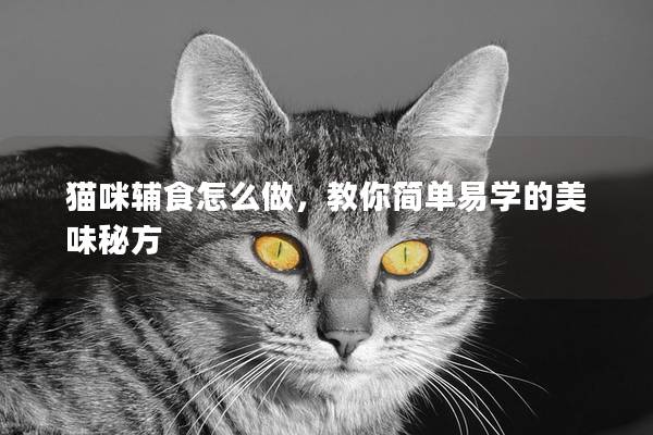 猫咪辅食怎么做，教你简单易学的美味秘方