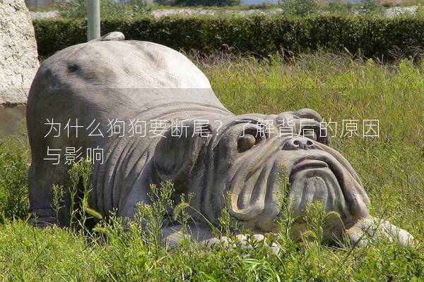 为什么狗狗要断尾？了解背后的原因与影响