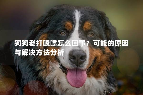 狗狗老打喷嚏怎么回事？可能的原因与解决方法分析