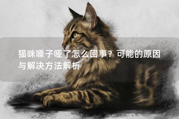 猫咪嗓子哑了怎么回事？可能的原因与解决方法解析