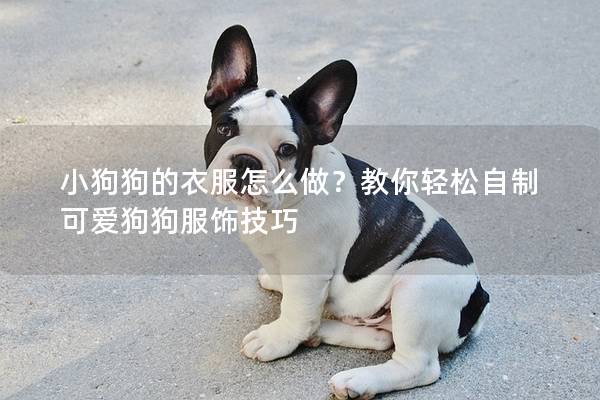 小狗狗的衣服怎么做？教你轻松自制可爱狗狗服饰技巧