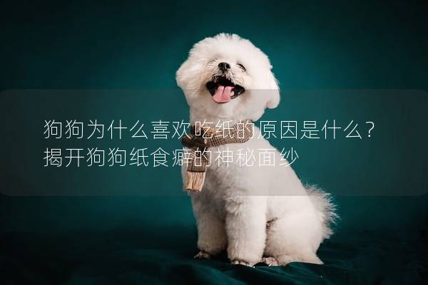 狗狗为什么喜欢吃纸的原因是什么？揭开狗狗纸食癖的神秘面纱