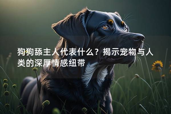 狗狗舔主人代表什么？揭示宠物与人类的深厚情感纽带