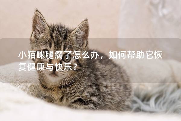 小猫咪腿瘸了怎么办，如何帮助它恢复健康与快乐？