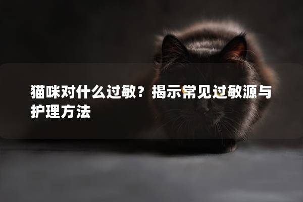 猫咪对什么过敏？揭示常见过敏源与护理方法