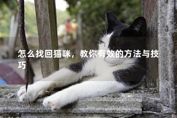 怎么找回猫咪，教你有效的方法与技巧