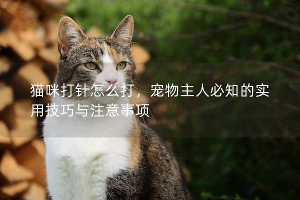 猫咪打针怎么打，宠物主人必知的实用技巧与注意事项