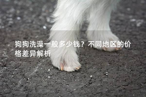 狗狗洗澡一般多少钱？不同地区的价格差异解析