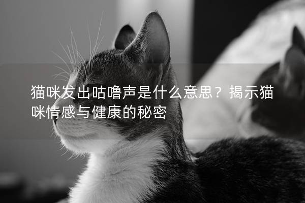 猫咪发出咕噜声是什么意思？揭示猫咪情感与健康的秘密