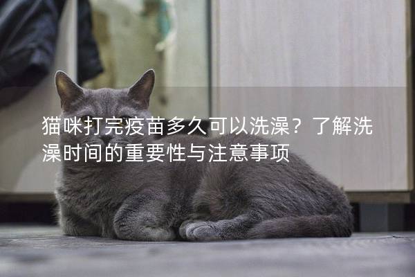 猫咪打完疫苗多久可以洗澡？了解洗澡时间的重要性与注意事项