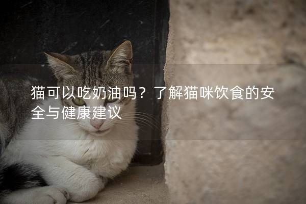 猫可以吃奶油吗？了解猫咪饮食的安全与健康建议