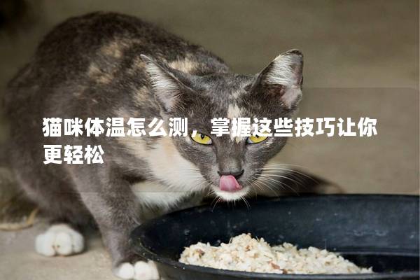 猫咪体温怎么测，掌握这些技巧让你更轻松