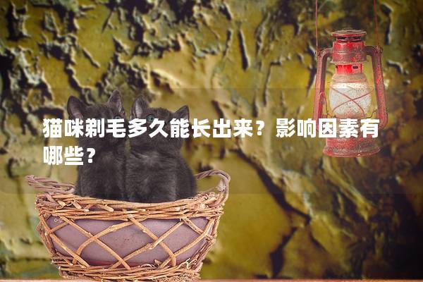 猫咪剃毛多久能长出来？影响因素有哪些？