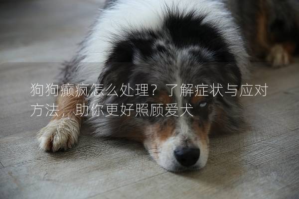 狗狗癫疯怎么处理？了解症状与应对方法，助你更好照顾爱犬