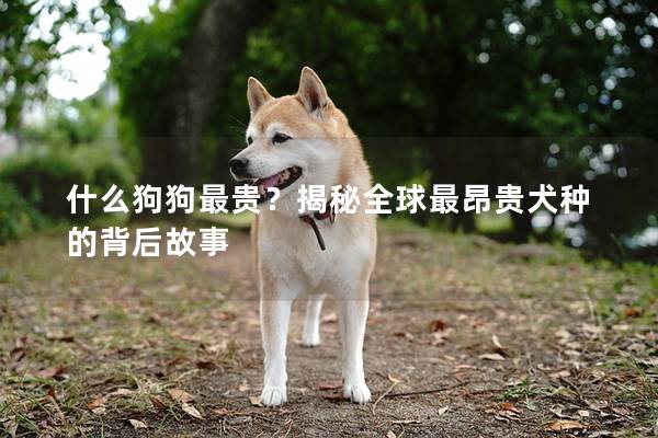 什么狗狗最贵？揭秘全球最昂贵犬种的背后故事