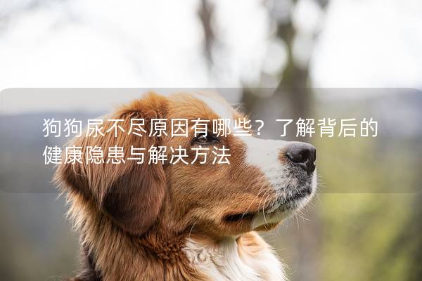 狗狗尿不尽原因有哪些？了解背后的健康隐患与解决方法