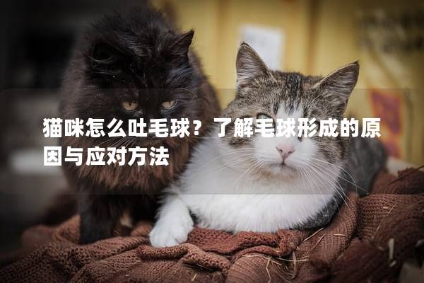 猫咪怎么吐毛球？了解毛球形成的原因与应对方法