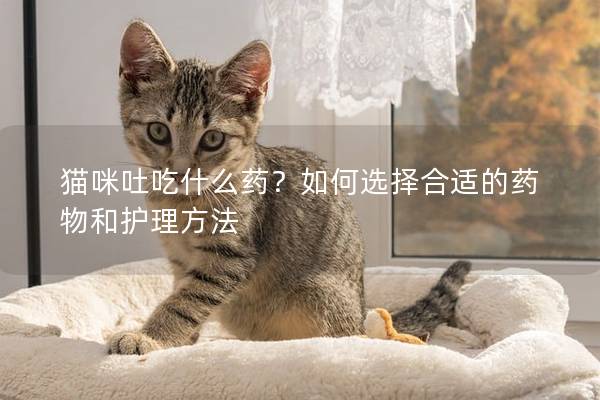 猫咪吐吃什么药？如何选择合适的药物和护理方法