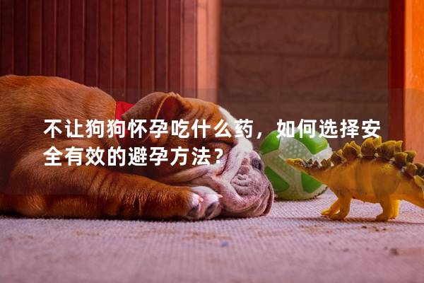 不让狗狗怀孕吃什么药，如何选择安全有效的避孕方法？