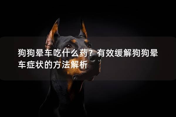 狗狗晕车吃什么药？有效缓解狗狗晕车症状的方法解析