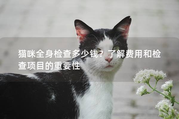 猫咪全身检查多少钱？了解费用和检查项目的重要性