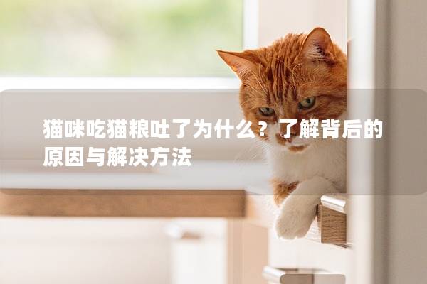 猫咪吃猫粮吐了为什么？了解背后的原因与解决方法