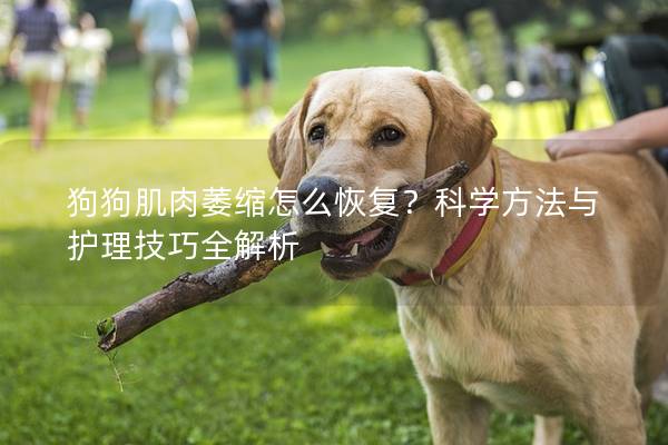 狗狗肌肉萎缩怎么恢复？科学方法与护理技巧全解析