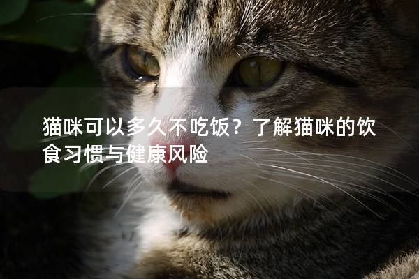 猫咪可以多久不吃饭？了解猫咪的饮食习惯与健康风险