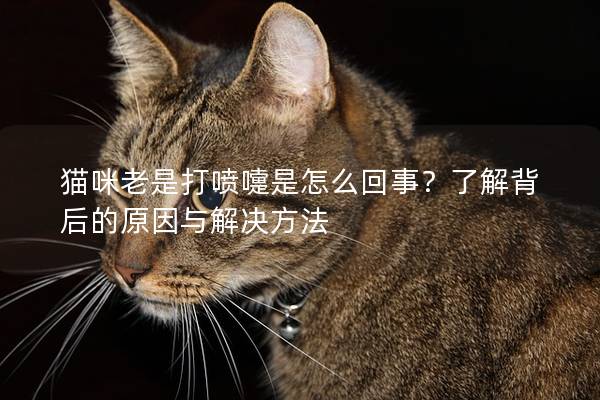 猫咪老是打喷嚏是怎么回事？了解背后的原因与解决方法