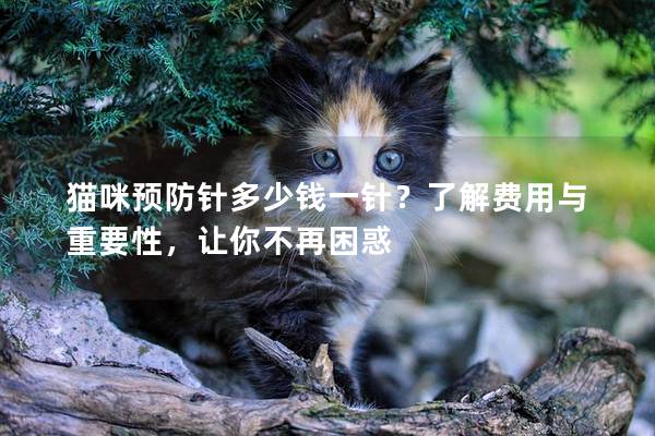 猫咪预防针多少钱一针？了解费用与重要性，让你不再困惑