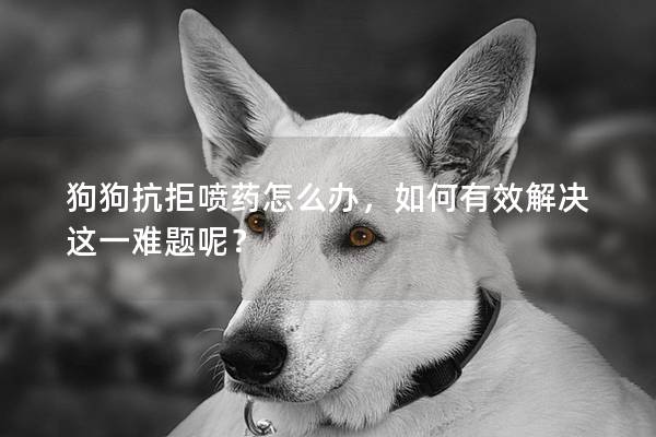 狗狗抗拒喷药怎么办，如何有效解决这一难题呢？