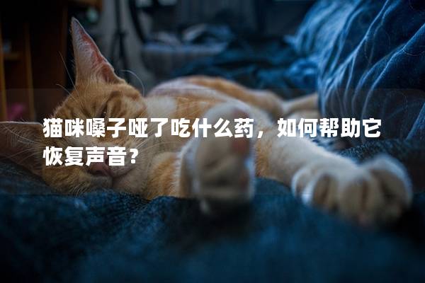 猫咪嗓子哑了吃什么药，如何帮助它恢复声音？