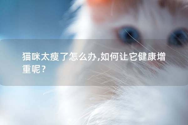 猫咪太瘦了怎么办,如何让它健康增重呢？