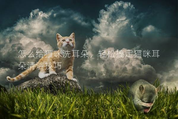 怎么给猫咪洗耳朵，轻松搞定猫咪耳朵清洁技巧