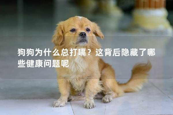 狗狗为什么总打嗝？这背后隐藏了哪些健康问题呢