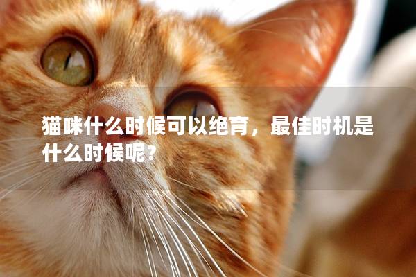 猫咪什么时候可以绝育，最佳时机是什么时候呢？