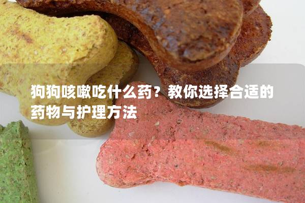 狗狗咳嗽吃什么药？教你选择合适的药物与护理方法