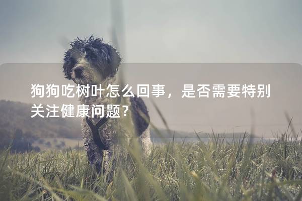 狗狗吃树叶怎么回事，是否需要特别关注健康问题？