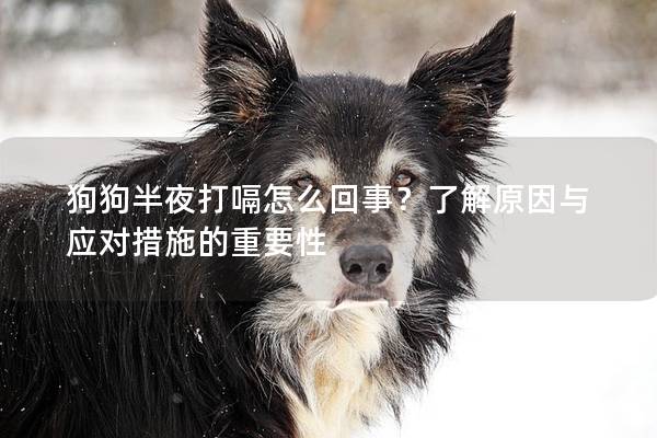 狗狗半夜打嗝怎么回事？了解原因与应对措施的重要性