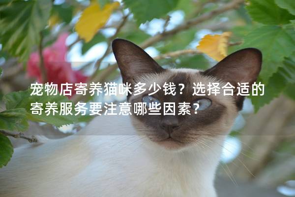 宠物店寄养猫咪多少钱？选择合适的寄养服务要注意哪些因素？