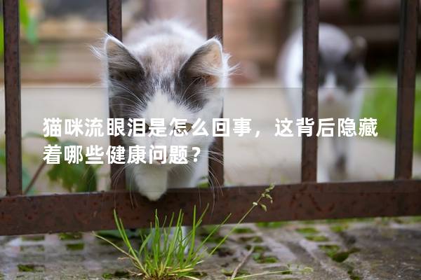 猫咪流眼泪是怎么回事，这背后隐藏着哪些健康问题？